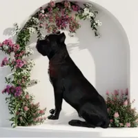 processed/5d744c61-58ad-4b29-aebb-780fc60a24da/facility/86d7c875-db50-42d6-90ec-1ab5a7ac4c68