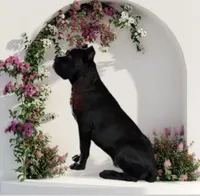 processed/5d744c61-58ad-4b29-aebb-780fc60a24da/facility/86d7c875-db50-42d6-90ec-1ab5a7ac4c68