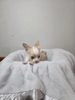 processed/5d96d0f1-2c54-4d7f-aacf-6473947c51ae/listing/d501b351-130b-467d-9999-558ba435ea94/3ef8ad41-bad2-4f1b-bb45-46cc4b9a6f65