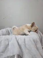 processed/5d96d0f1-2c54-4d7f-aacf-6473947c51ae/listing/d501b351-130b-467d-9999-558ba435ea94/42305100-1288-4ecc-947f-6207bf675d7f