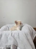 processed/5d96d0f1-2c54-4d7f-aacf-6473947c51ae/listing/d501b351-130b-467d-9999-558ba435ea94/a7b706bc-2634-4270-8b82-94cd2f94c8e6