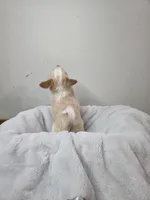 processed/5d96d0f1-2c54-4d7f-aacf-6473947c51ae/listing/d501b351-130b-467d-9999-558ba435ea94/bd361341-2d28-44f0-b121-3811f702181d