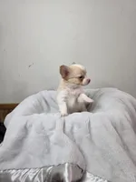 processed/5d96d0f1-2c54-4d7f-aacf-6473947c51ae/listing/d501b351-130b-467d-9999-558ba435ea94/d1f0e35a-133d-4047-8598-f2215e44da18