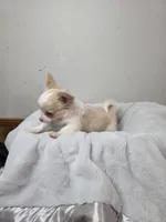 processed/5d96d0f1-2c54-4d7f-aacf-6473947c51ae/listing/d501b351-130b-467d-9999-558ba435ea94/f0e30f40-3cfb-4a1c-ad9e-ac6e81bad286