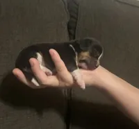 processed/5d987491-95ed-4ceb-ac81-8c1a8334426b/listing/1ff8062e-9272-43f4-84fb-e28a0c2bf6fd/226f2e65-b6ac-4658-9cdd-25aceb1b6bb6