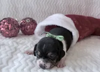 processed/5d987491-95ed-4ceb-ac81-8c1a8334426b/listing/9cdcc6b4-05c4-4fc6-a1cb-d417efd9ea8b/2ab164b4-34d8-4f14-aca7-5e47bff099af