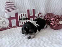 processed/5d987491-95ed-4ceb-ac81-8c1a8334426b/listing/9f726816-1998-4603-8e61-87ca3ae2b21a/3a976984-d78a-4332-80df-4d6864ee28b4