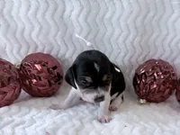 processed/5d987491-95ed-4ceb-ac81-8c1a8334426b/listing/9f726816-1998-4603-8e61-87ca3ae2b21a/beabce96-34e9-4539-920d-fd9195a44c01