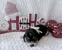 processed/5d987491-95ed-4ceb-ac81-8c1a8334426b/listing/9f726816-1998-4603-8e61-87ca3ae2b21a/c427cdfe-2992-471a-a761-46bcb27143a5