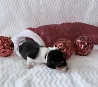 processed/5d987491-95ed-4ceb-ac81-8c1a8334426b/listing/9f726816-1998-4603-8e61-87ca3ae2b21a/dc4c0968-842b-4e52-b635-737183a60a34