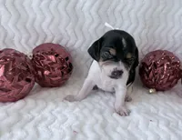 processed/5d987491-95ed-4ceb-ac81-8c1a8334426b/listing/9f726816-1998-4603-8e61-87ca3ae2b21a/f4a6a6e4-3c00-4215-badf-e894a30c5639