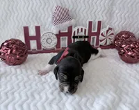 processed/5d987491-95ed-4ceb-ac81-8c1a8334426b/listing/b6281b39-3266-492c-9841-fefa712ceff5/07a220bd-a62b-4eac-a30d-91677d687232