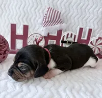 processed/5d987491-95ed-4ceb-ac81-8c1a8334426b/listing/b6281b39-3266-492c-9841-fefa712ceff5/c2ded417-849c-4933-9819-3c87eed5a51f