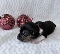 processed/5d987491-95ed-4ceb-ac81-8c1a8334426b/listing/b6281b39-3266-492c-9841-fefa712ceff5/f46d15cf-4b67-429c-9301-eb46cf552489