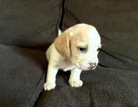 processed/5d987491-95ed-4ceb-ac81-8c1a8334426b/listing/ca08261f-1c74-4107-8254-0bb10bbc10cb/73ddc991-2ee9-4a84-9b5d-07464e3cf406