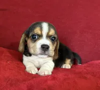 processed/5d987491-95ed-4ceb-ac81-8c1a8334426b/listing/cdaac0d4-0ca7-4c60-b8a6-6541d7687c48/e2ad039d-3a27-4ef5-be43-93b22ca72511