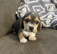 processed/5d987491-95ed-4ceb-ac81-8c1a8334426b/listing/d4353753-b296-44cb-bc2f-c6293521dbad/b4c0b1c8-11b2-453d-aabb-d0213b107750