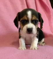 processed/5d987491-95ed-4ceb-ac81-8c1a8334426b/listing/e1007581-fcdf-47c0-9263-82a6783b1826/10a0ac80-f9eb-4d74-880c-bf24174e42d7