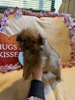 processed/5d9ac15e-70ca-4f54-b4c5-d843d2e7ed7c/listing/1f1aa3c2-16e7-4c90-bd39-a3f2f84414fc/3f03809a-28d3-46d1-ab80-0935224a7fef