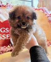 processed/5d9ac15e-70ca-4f54-b4c5-d843d2e7ed7c/listing/1f1aa3c2-16e7-4c90-bd39-a3f2f84414fc/95737b79-4ecb-4927-a901-674f81142d1e