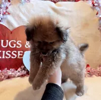 processed/5d9ac15e-70ca-4f54-b4c5-d843d2e7ed7c/listing/1f1aa3c2-16e7-4c90-bd39-a3f2f84414fc/dd53acd9-ddb0-4906-b1a2-17466a23ac9a