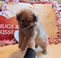 processed/5d9ac15e-70ca-4f54-b4c5-d843d2e7ed7c/listing/1f1aa3c2-16e7-4c90-bd39-a3f2f84414fc/e5b1f0d3-482a-482c-9919-4fa8fdcb590c