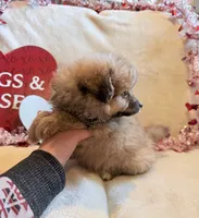 processed/5d9ac15e-70ca-4f54-b4c5-d843d2e7ed7c/listing/1f1aa3c2-16e7-4c90-bd39-a3f2f84414fc/f6408740-7105-43e0-8d82-d754d86d9564