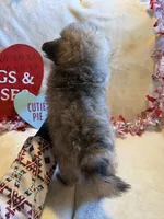 processed/5d9ac15e-70ca-4f54-b4c5-d843d2e7ed7c/listing/1f1aa3c2-16e7-4c90-bd39-a3f2f84414fc/fec009ff-fbab-47dc-b05f-4058a5652fc2