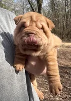 processed/5d9ac15e-70ca-4f54-b4c5-d843d2e7ed7c/listing/2ff7f6a9-de27-4f6a-bff6-7bef2c04fb09/5e1a55f6-739a-46b4-88ec-5c3958e5a19a