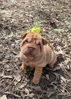 processed/5d9ac15e-70ca-4f54-b4c5-d843d2e7ed7c/listing/2ff7f6a9-de27-4f6a-bff6-7bef2c04fb09/751e6ae1-f5d1-4ff9-a1ce-4ef59f40dd2e