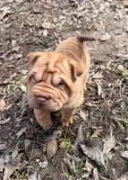 processed/5d9ac15e-70ca-4f54-b4c5-d843d2e7ed7c/listing/2ff7f6a9-de27-4f6a-bff6-7bef2c04fb09/bf7abf05-a2fb-4f6e-9b84-15fb40d54e1f