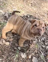 processed/5d9ac15e-70ca-4f54-b4c5-d843d2e7ed7c/listing/2ff7f6a9-de27-4f6a-bff6-7bef2c04fb09/f37600b9-5e84-4a9d-87e6-533920ac5e36