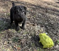 processed/5d9ac15e-70ca-4f54-b4c5-d843d2e7ed7c/listing/31bc61e9-1f5e-406c-9136-1112efc28fb7/a319811b-0d90-455d-9d3d-06c4717766de