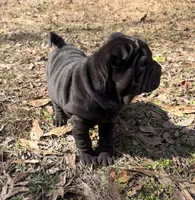 processed/5d9ac15e-70ca-4f54-b4c5-d843d2e7ed7c/listing/31bc61e9-1f5e-406c-9136-1112efc28fb7/fbca6388-ee35-49df-83e4-23f3b21c8dfe