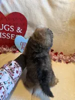 processed/5d9ac15e-70ca-4f54-b4c5-d843d2e7ed7c/listing/f5f5c089-0d92-4d75-b00b-6a89b97935c4/26fec12a-e658-4031-8fd7-49dd8224f75a