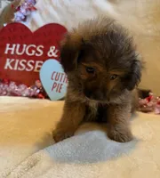 processed/5d9ac15e-70ca-4f54-b4c5-d843d2e7ed7c/listing/f5f5c089-0d92-4d75-b00b-6a89b97935c4/37dcbe0d-17f6-4274-97b7-b28d4746dc4a