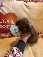 processed/5d9ac15e-70ca-4f54-b4c5-d843d2e7ed7c/listing/f5f5c089-0d92-4d75-b00b-6a89b97935c4/8a70240e-1e8d-4b70-9954-e632a58a0fab