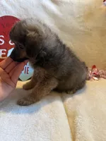 processed/5d9ac15e-70ca-4f54-b4c5-d843d2e7ed7c/listing/f5f5c089-0d92-4d75-b00b-6a89b97935c4/8f64f792-7ffe-47b4-8c49-df5278ad3995