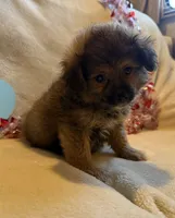 processed/5d9ac15e-70ca-4f54-b4c5-d843d2e7ed7c/listing/f5f5c089-0d92-4d75-b00b-6a89b97935c4/9ae31bff-e62a-4ede-974d-ade50e56298a