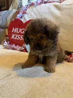 processed/5d9ac15e-70ca-4f54-b4c5-d843d2e7ed7c/listing/f5f5c089-0d92-4d75-b00b-6a89b97935c4/c55ef632-0537-4241-a897-42eb95f40b3a