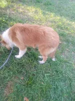 processed/5da456d0-974c-49a3-92d5-b53df0f21621/listing/a89823af-1c79-4bb4-b9a2-f5f728edd926/c965f5f6-b178-4226-a84b-d467df8dc62f