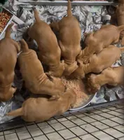 processed/5dac1394-012f-441f-86c4-e7e3469e7cad/listing/6c728a05-975c-40a9-bfdd-747b82a272bb/0ea453a9-b4b7-40d4-b4e5-7567dc656734