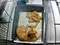 processed/5dac1394-012f-441f-86c4-e7e3469e7cad/listing/6c728a05-975c-40a9-bfdd-747b82a272bb/4686c3c1-f530-4ecf-ae06-aea876f19c84