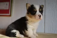 processed/5db0455c-0d92-43b7-b1e5-4135da034938/facility/02b26367-de04-4233-86bd-04340af62faf