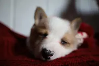 processed/5db0455c-0d92-43b7-b1e5-4135da034938/facility/1fac649c-fe26-4179-a2cf-d098d652ddb9