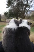 processed/5db0455c-0d92-43b7-b1e5-4135da034938/facility/2586377e-3a68-492f-b486-2c90854956f9