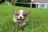 processed/5db0455c-0d92-43b7-b1e5-4135da034938/facility/435dbe6d-ad59-457a-be42-d5e765a18481