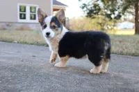 processed/5db0455c-0d92-43b7-b1e5-4135da034938/facility/43c9261c-5771-4097-b6c0-4f27538bbe1e