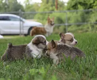 processed/5db0455c-0d92-43b7-b1e5-4135da034938/facility/795befbf-b473-4d53-b187-fb68bd486f55