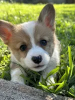 processed/5db0455c-0d92-43b7-b1e5-4135da034938/facility/958c93cb-47fb-410f-a9a8-cd6d953e49d3